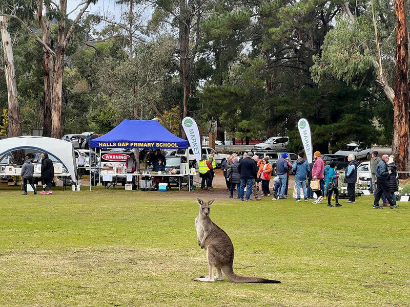 Halls Gap Market - Happy Wanderer Resort Wartook